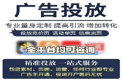 竞价排名广告投放案例